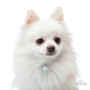 My Family Circle & Bone Pet ID Tag - Pisces Pet Emporium