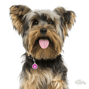 My Family Circle & Paw Pet ID Tag - Pisces Pet Emporium