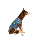 Canada Pooch Follow Me Tee - Pisces Pet Emporium
