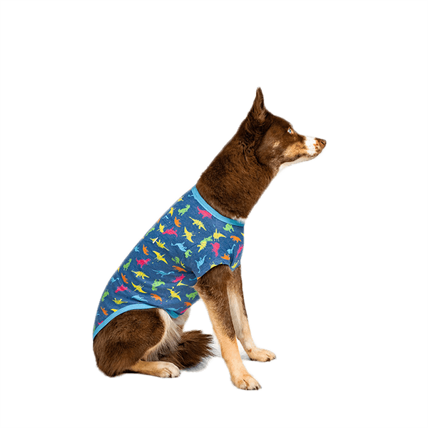 Canada Pooch Follow Me Tee - Pisces Pet Emporium