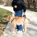 Solvit Lifting Aid Full Front & Back Kit - Large - Pisces Pet Emporium