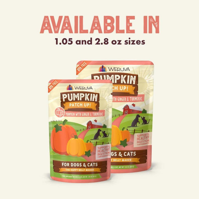 Weruva Pumpkin Patch Up - Ginger & Turmeric - Pisces Pet Emporium