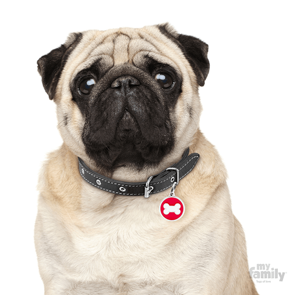My Family Circle & Bone Pet ID Tag - Pisces Pet Emporium