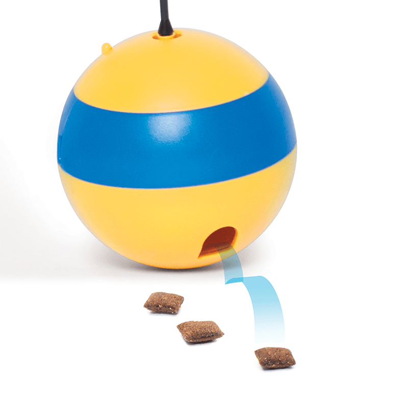 Catit Play Spinning Bee - Pisces Pet Emporium