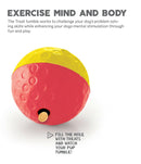 Outward Hound Treat Tumble Dog Puzzle Toy L | Pisces