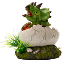 Aqua-Fit Dino Egg Ornaments - Pisces Pet Emporium