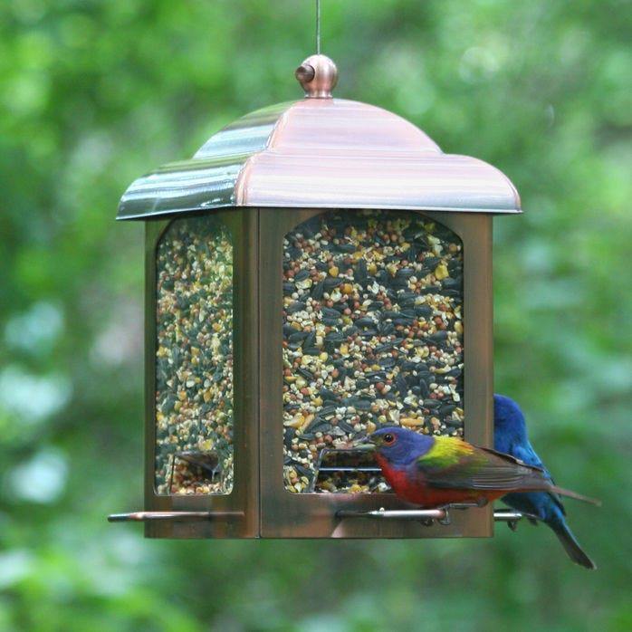 Perky Pet Lantern Bird Feeder - Antique Copper - Pisces Pet Emporium
