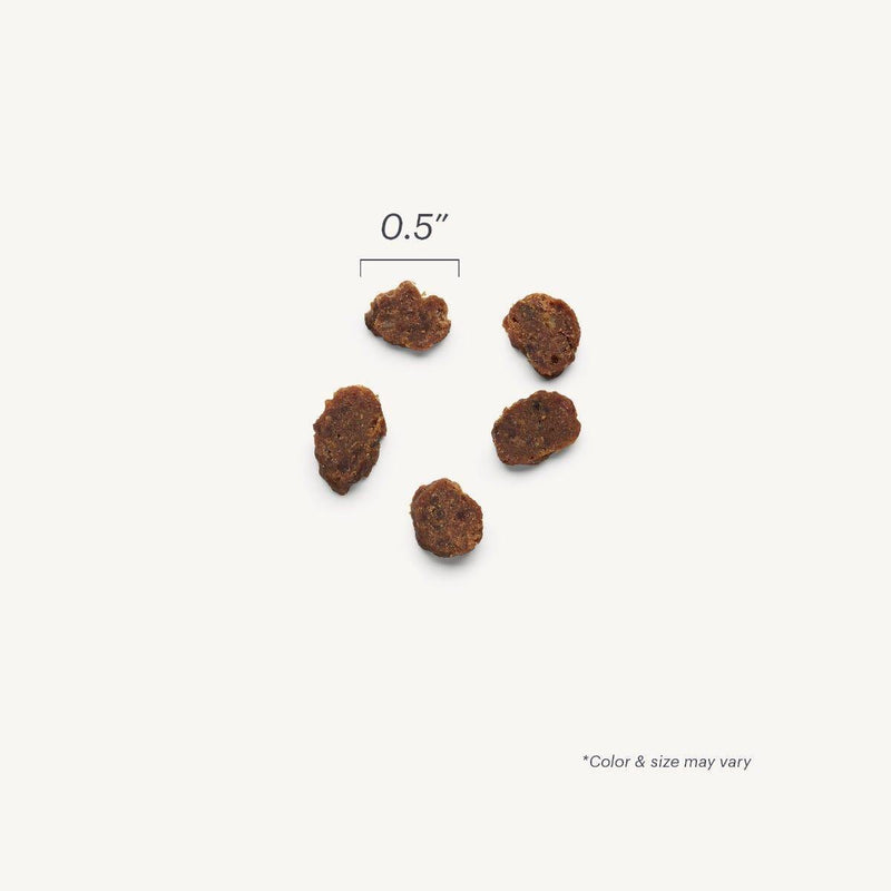Honest Kitchen Surf & Turf Meaty Littles - Beef & Salmon 113g - Pisces Pet Emporium