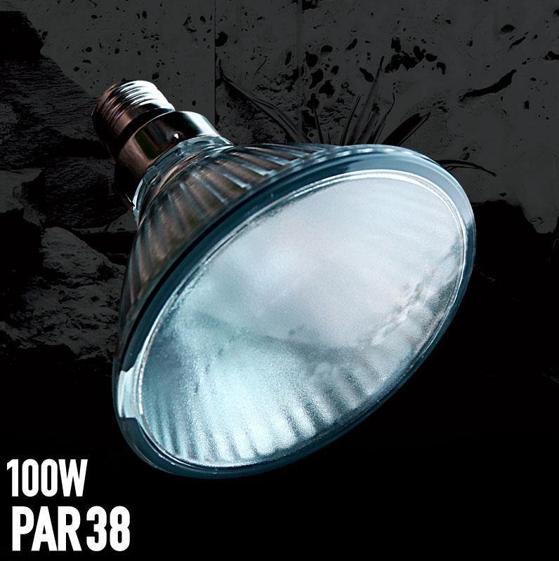 Arcadia Halogen Heat Lamp - Pisces Pet Emporium