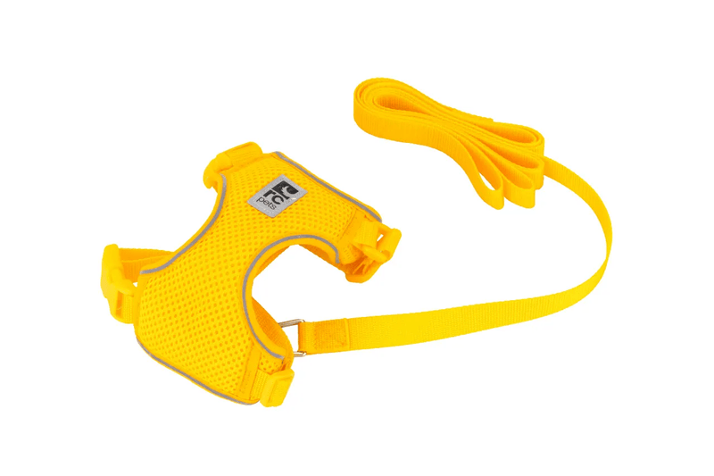 RC Pets Adventure Kitty Harness - Marigold - Pisces Pet Emporium