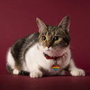 My Family Rainbow Heart Engravable ID Dog Tag | Pisces