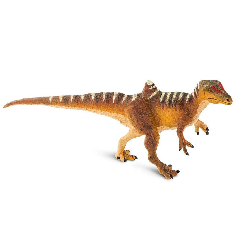 Safari Ltd. Concavenator Toy | Pisces