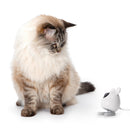 Catit PIXI Smart Mouse Surveillance Camera