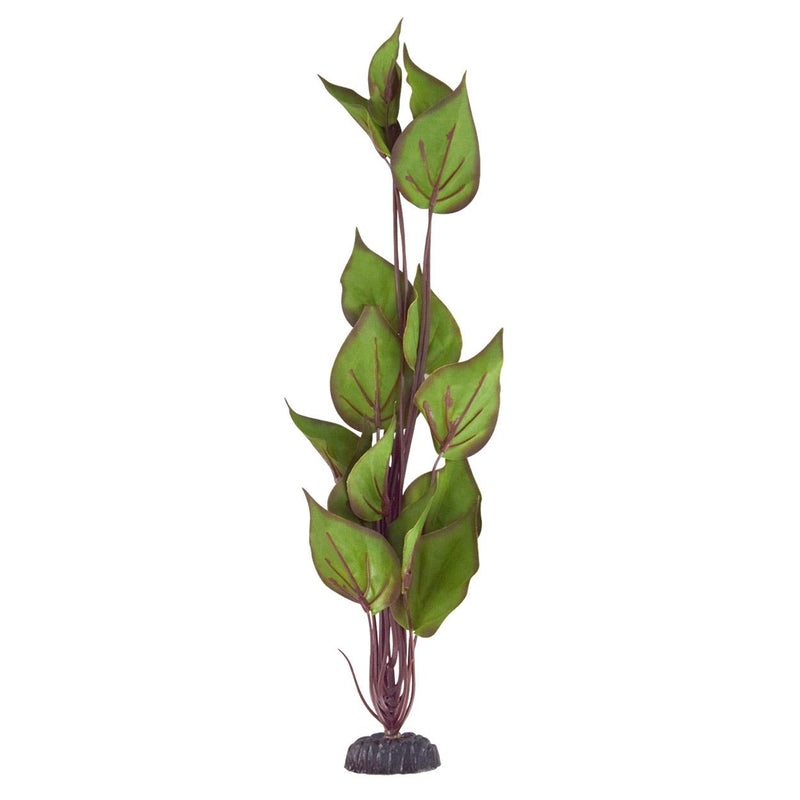Underwater Treasures Peace Lily | Pisces