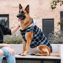 Canada Pooch Shacket Dog Plaid Jacket | Pisces