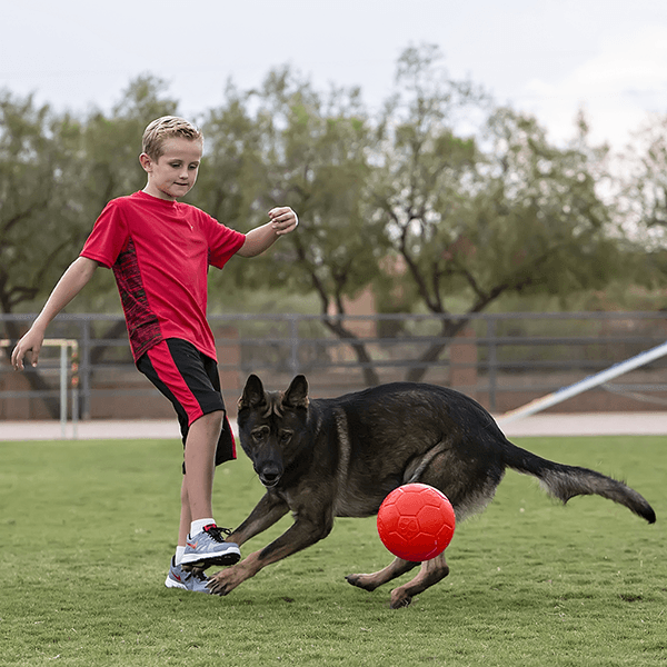 Jolly Pets Soccer Ball - Orange - Pisces Pet Emporium