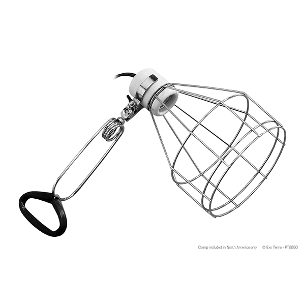 Exo Terra Porcelain Wire Lamp - Small - Pisces Pet Emporium
