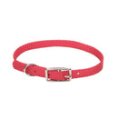 Coastal Single-Ply Dog Collar - Pisces Pet Emporium
