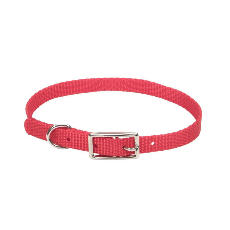 Coastal Single-Ply Dog Collar - Pisces Pet Emporium