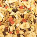 Higgins Sunburst Fruit to Nuts - Pisces Pet Emporium