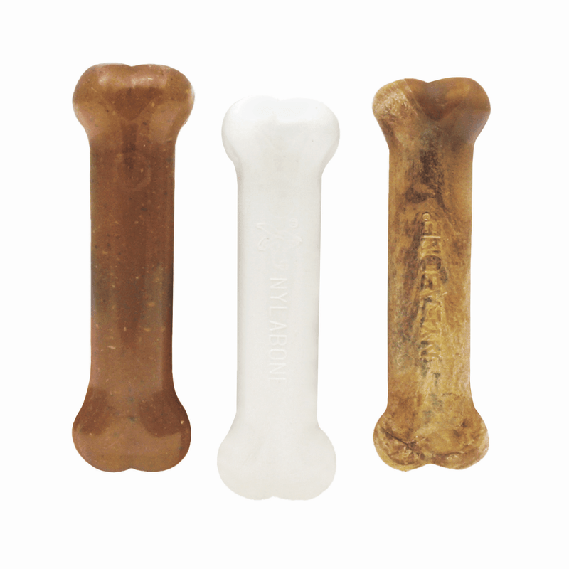 Nylabone Puppy Starter Kit - Pisces Pet Emporium