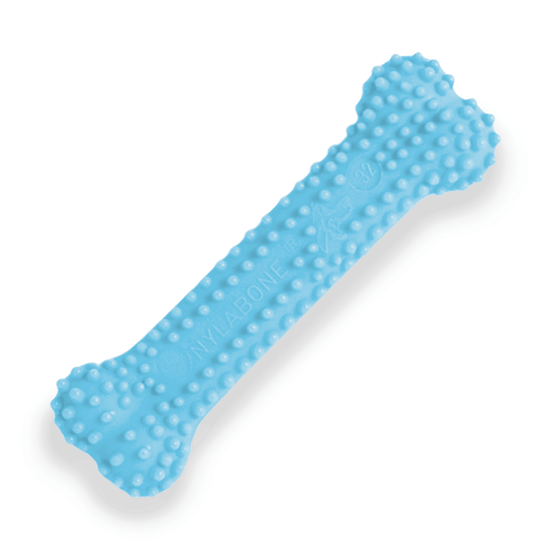 Nylabone Blue Dental Chew Petite - Pisces Pet Emporium