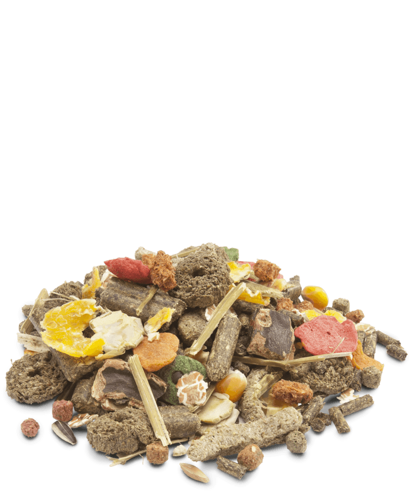 Versele-Laga Crispy Muesli - Rabbit - Pisces Pet Emporium