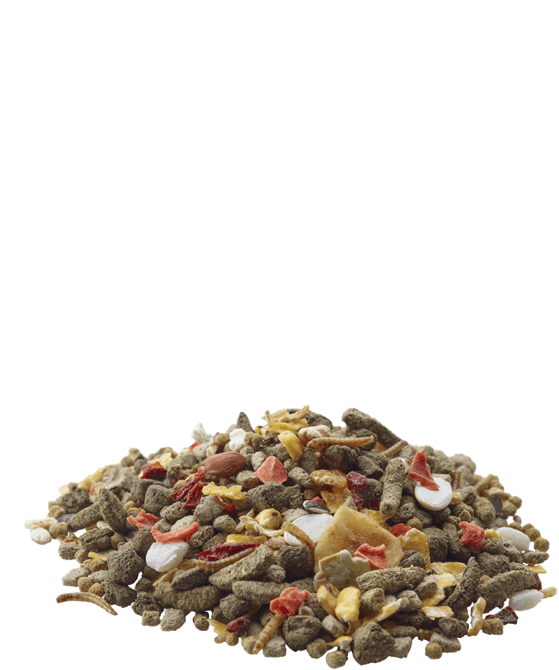 Versele-Laga Nature Gerbil - Pisces Pet Emporium