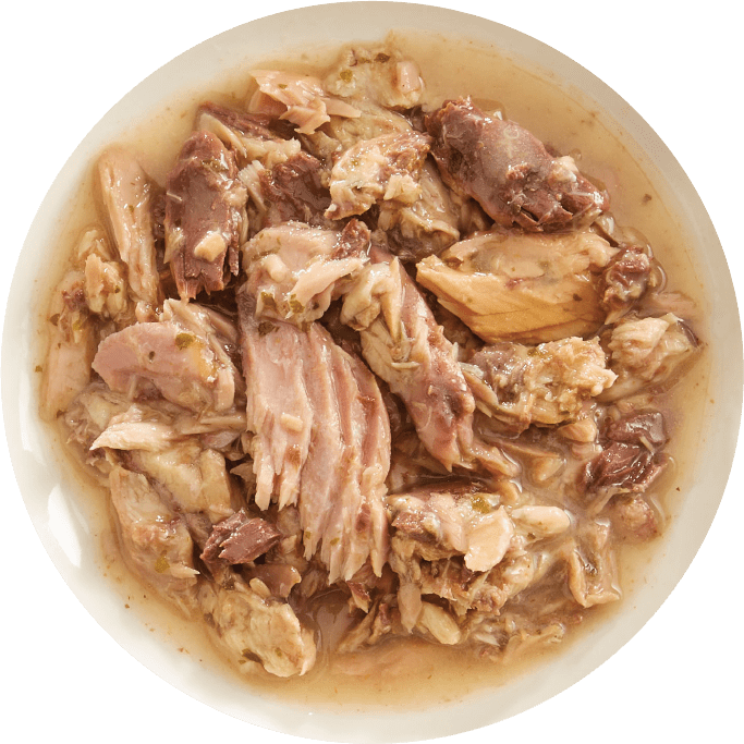 Rawz AUJOU Ahi Tuna & Mackerel Recipe Cat Food | Pisces
