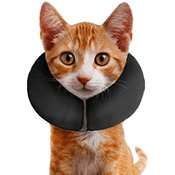 ZenPet Zen Collar The Original Pro Collar - X-Small - Pisces Pet Emporium