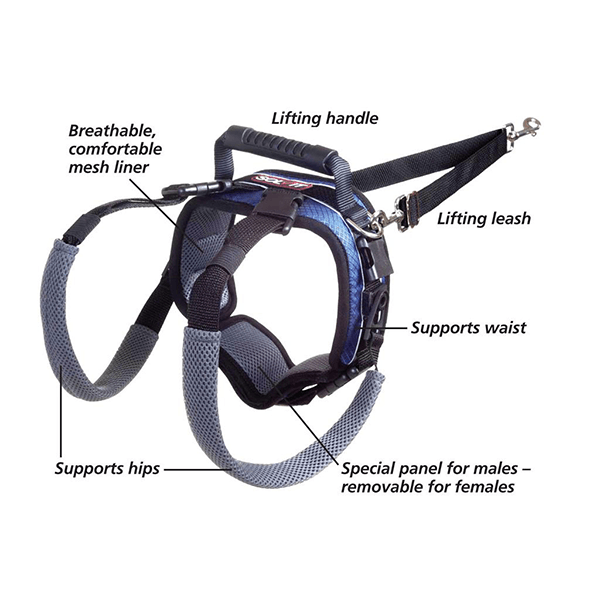 Solvit Lifting Aid Rear Portion Only - Large - Pisces Pet Emporium