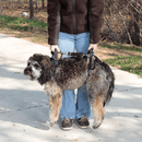 Solvit Lifting Aid Full Front & Back Kit - Medium - Pisces Pet Emporium