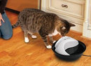 Raindrop Drinking Fountain Plastic - Pisces Pet Emporium