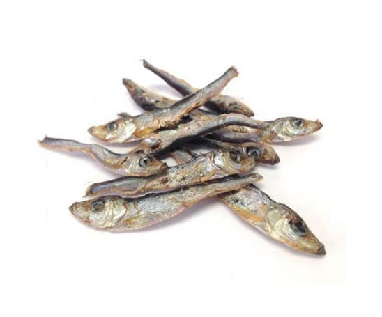 Granville Island Pet Treatery With Love and Fishes | Pisces Pet Emporium