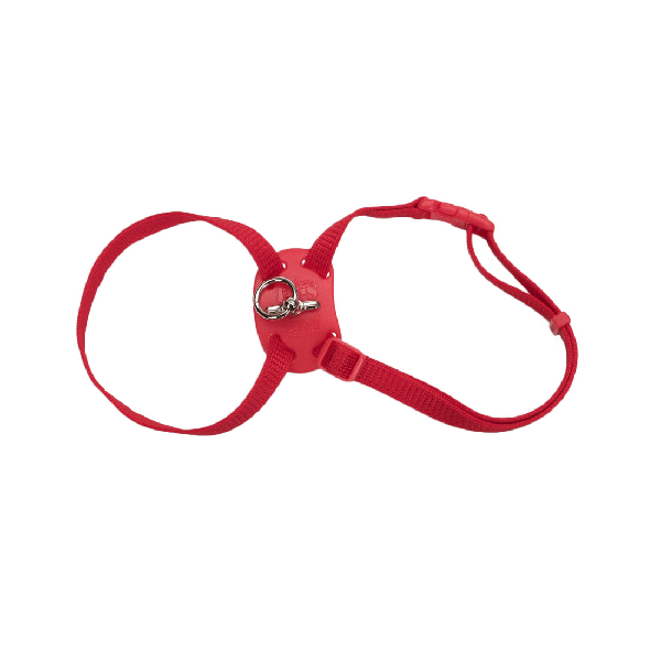 Coastal Size Right® Snag-Proof Adjustable Nylon Cat Harness - Pisces Pet Emporium