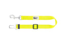 RC Pets Sit Tight Tether - Pisces Pet Emporium