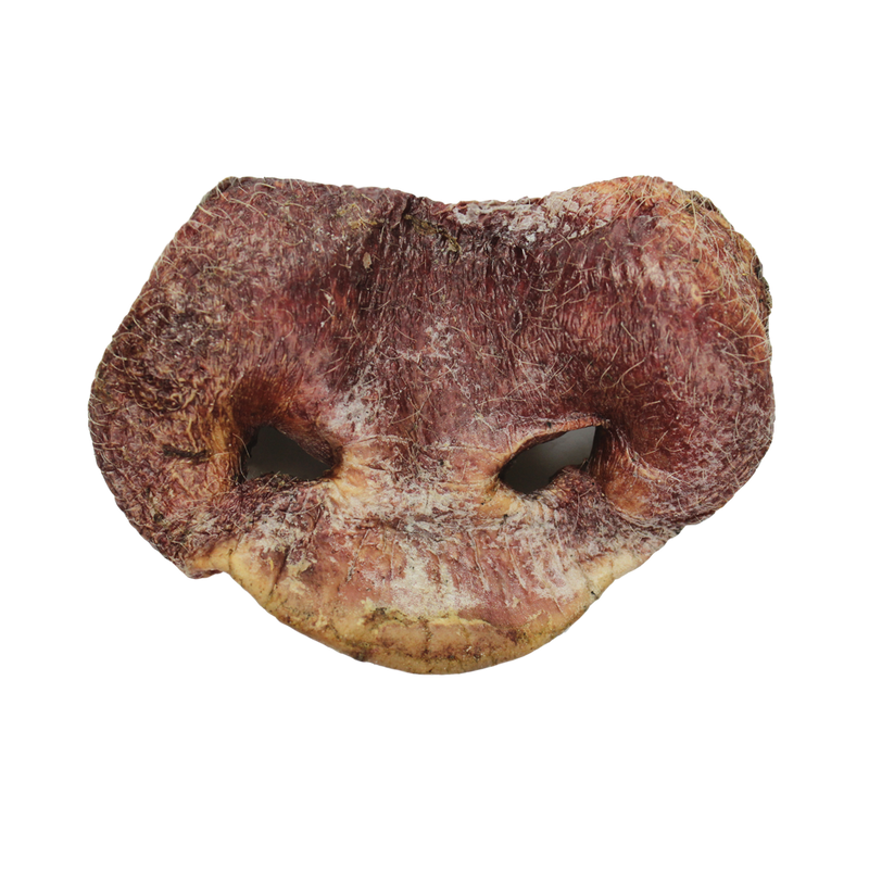Vital Essentials Raw Bar - Pig Snout - Pisces Pet Emporium