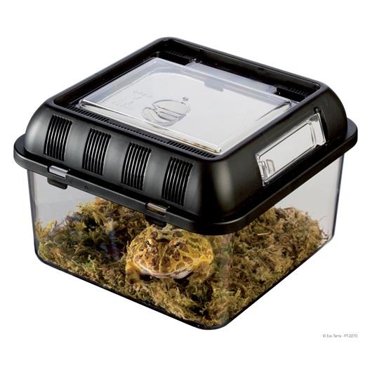 Exo Terra Breeding Box Small Reptile | Pisces