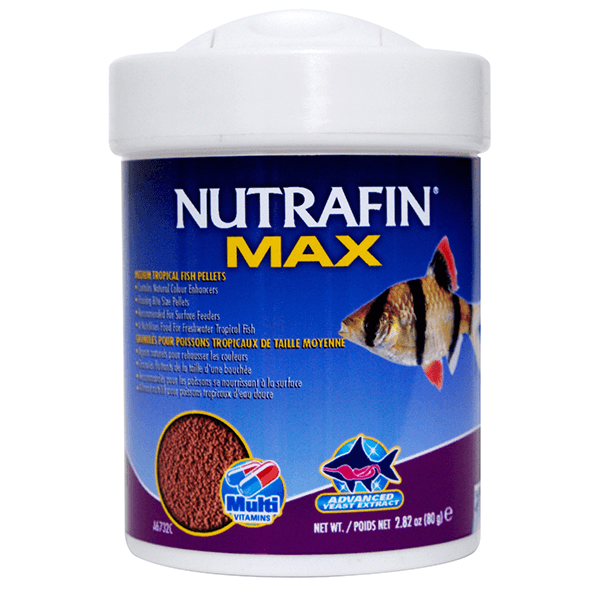Nutrafin Max Medium Tropical Fish Pellets - Pisces Pet Emporium