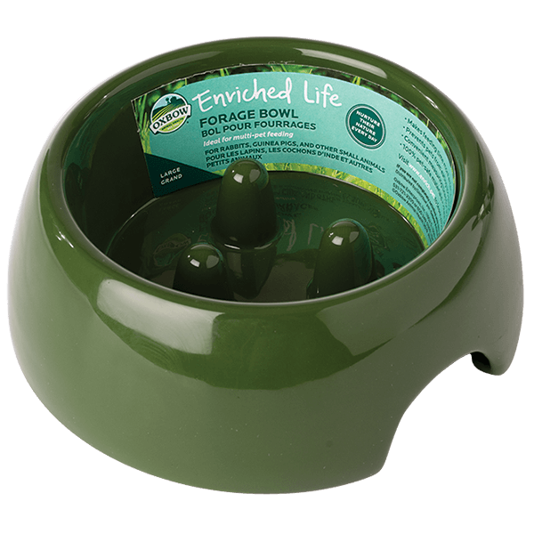 Oxbow Enriched Life Forage Bowl - Available in 2 Sizes - Pisces Pet Emporium