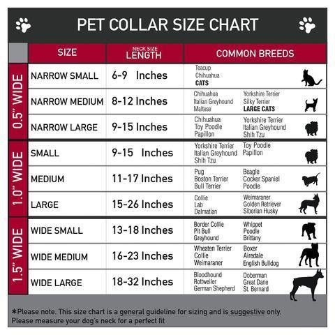 Buckle-Down Frozen Snowflake Poses Purple - Collar/Leash - Pisces Pet Emporium