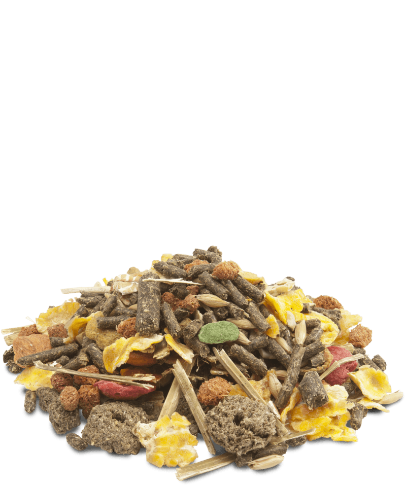 Versele-Laga Crispy Muesli Guinea Pig - 2.75kg - Pisces Pet Emporium
