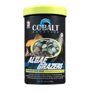 Cobalt Algae Grazers - Pisces Pet Emporium