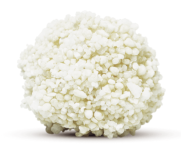 Sustainably Yours Large Grains Cat Litter - Pisces Pet Emporium