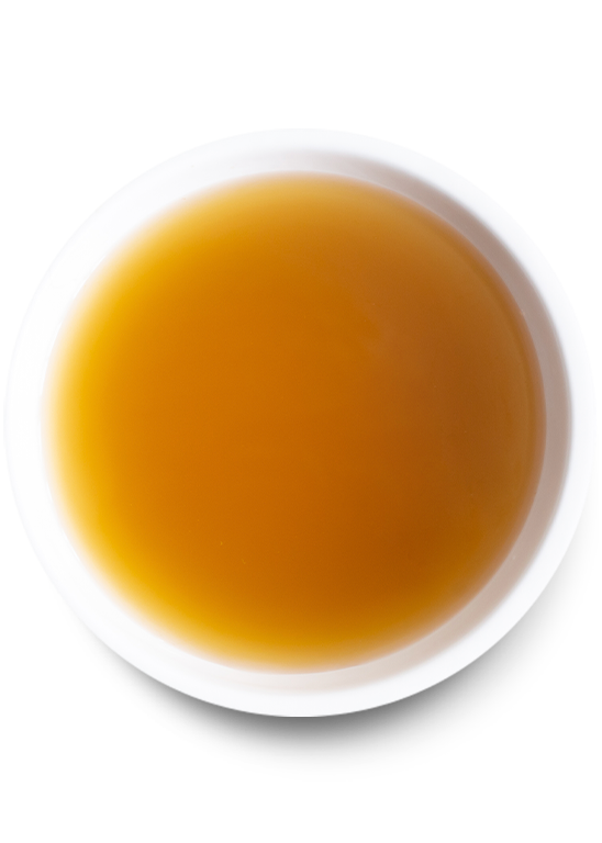 Open Farm Bone Broth Beef | Pisces