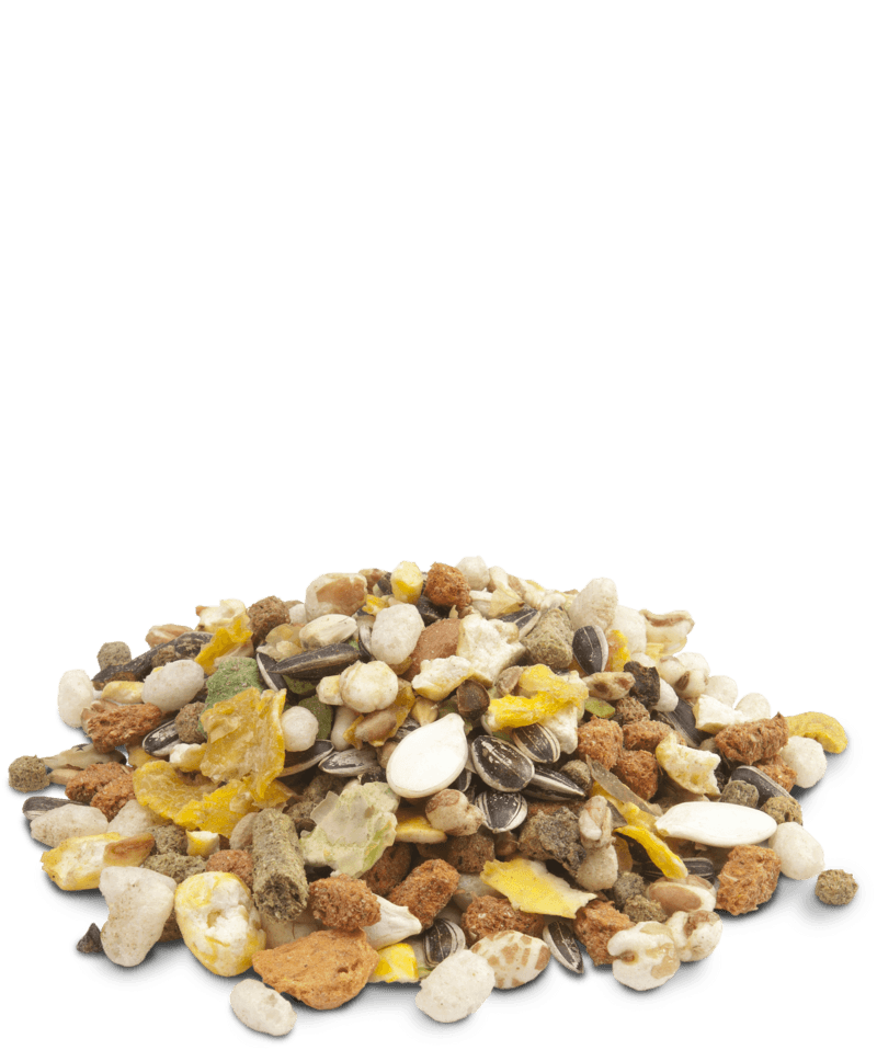 Versele-Laga Crispy Muesli - Hamsters & Co - Pisces Pet Emporium