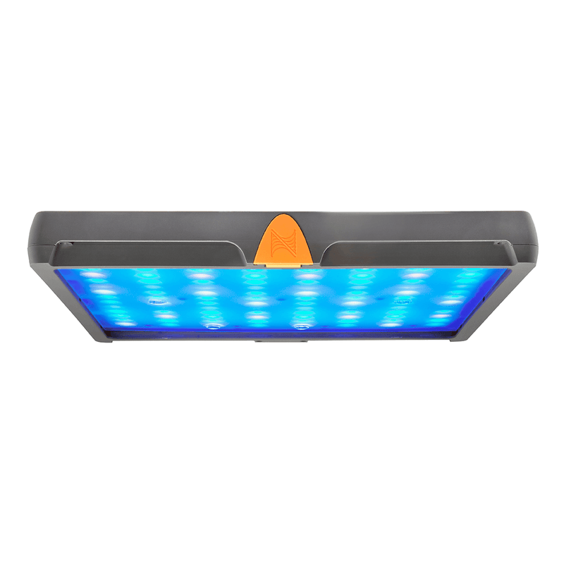 Neptune SKY - Reef Aquarium LED Light - Pisces Pet Emporium
