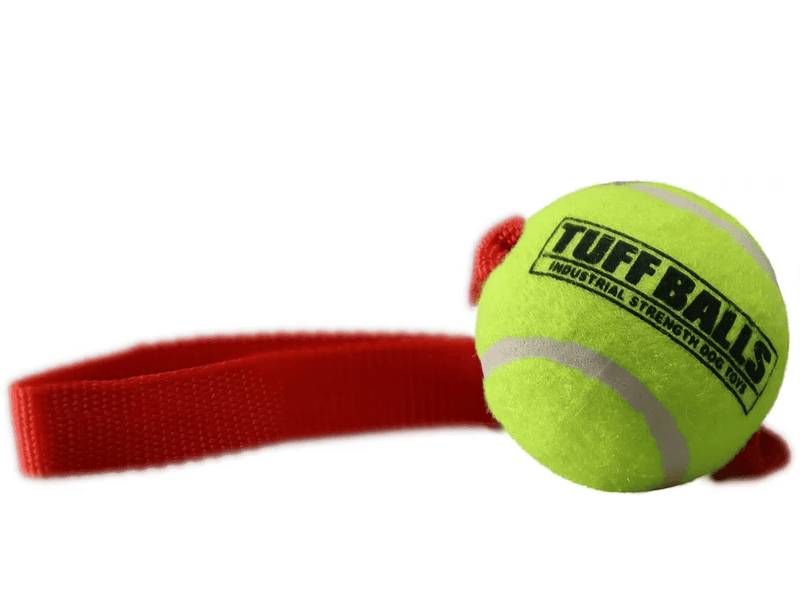 Petsport Fetch Me Fido - Mini - Pisces Pet Emporium