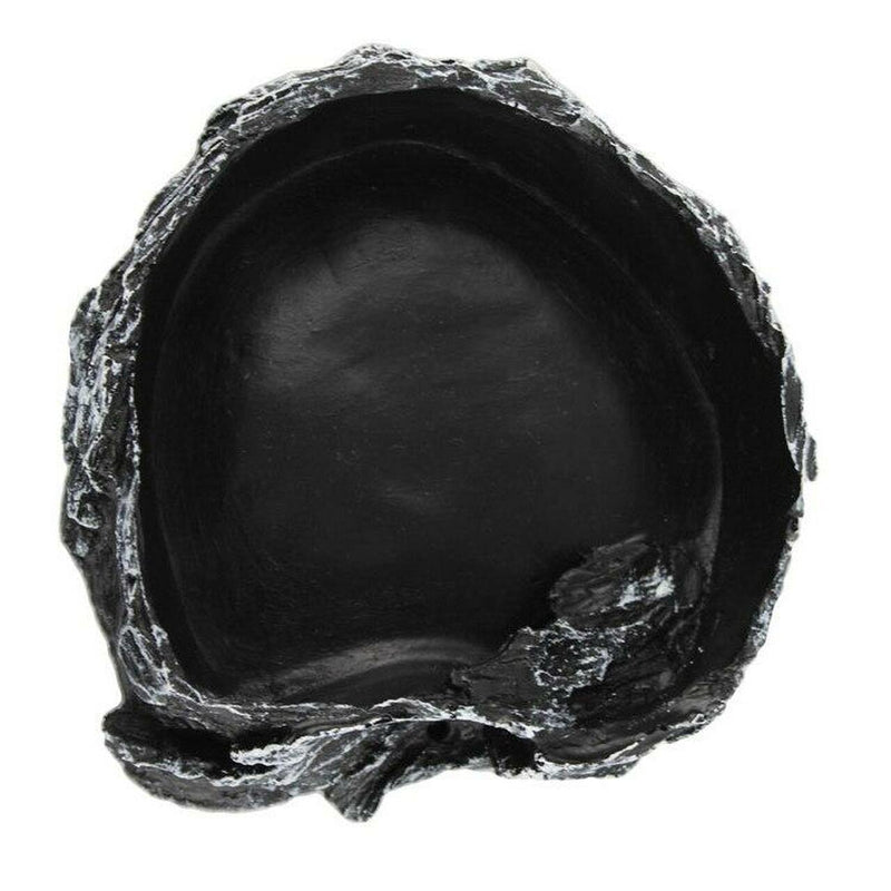 Pangea Rock Bowl - Pisces Pet Emporium