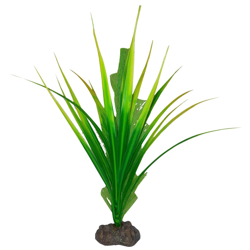 Fluval Premium Betta Plants - Pisces Pet Emporium